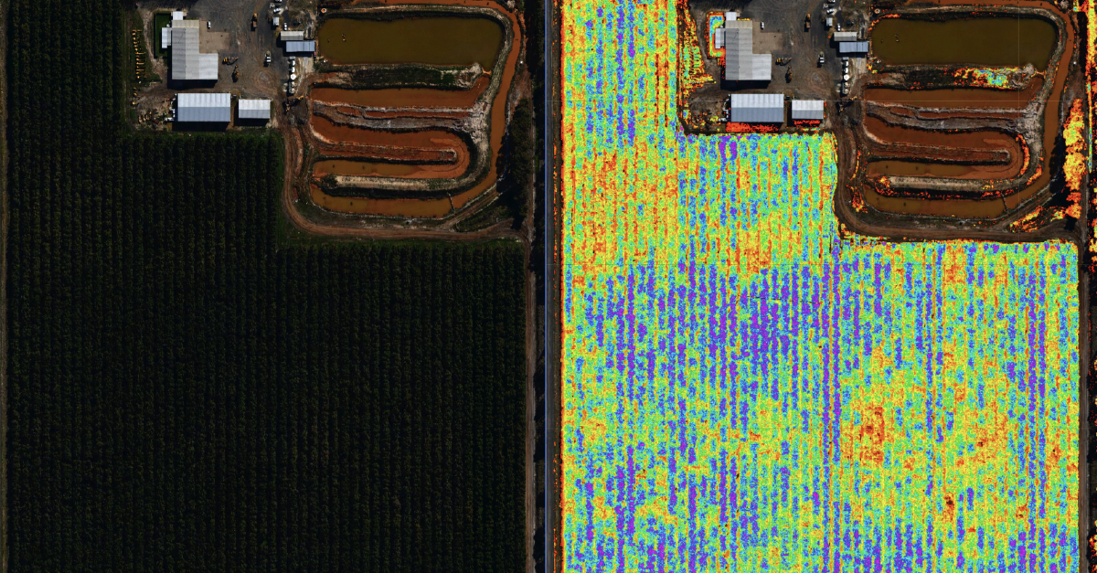 High resolution crop analysis