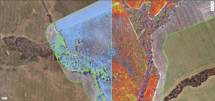 Field Analysis