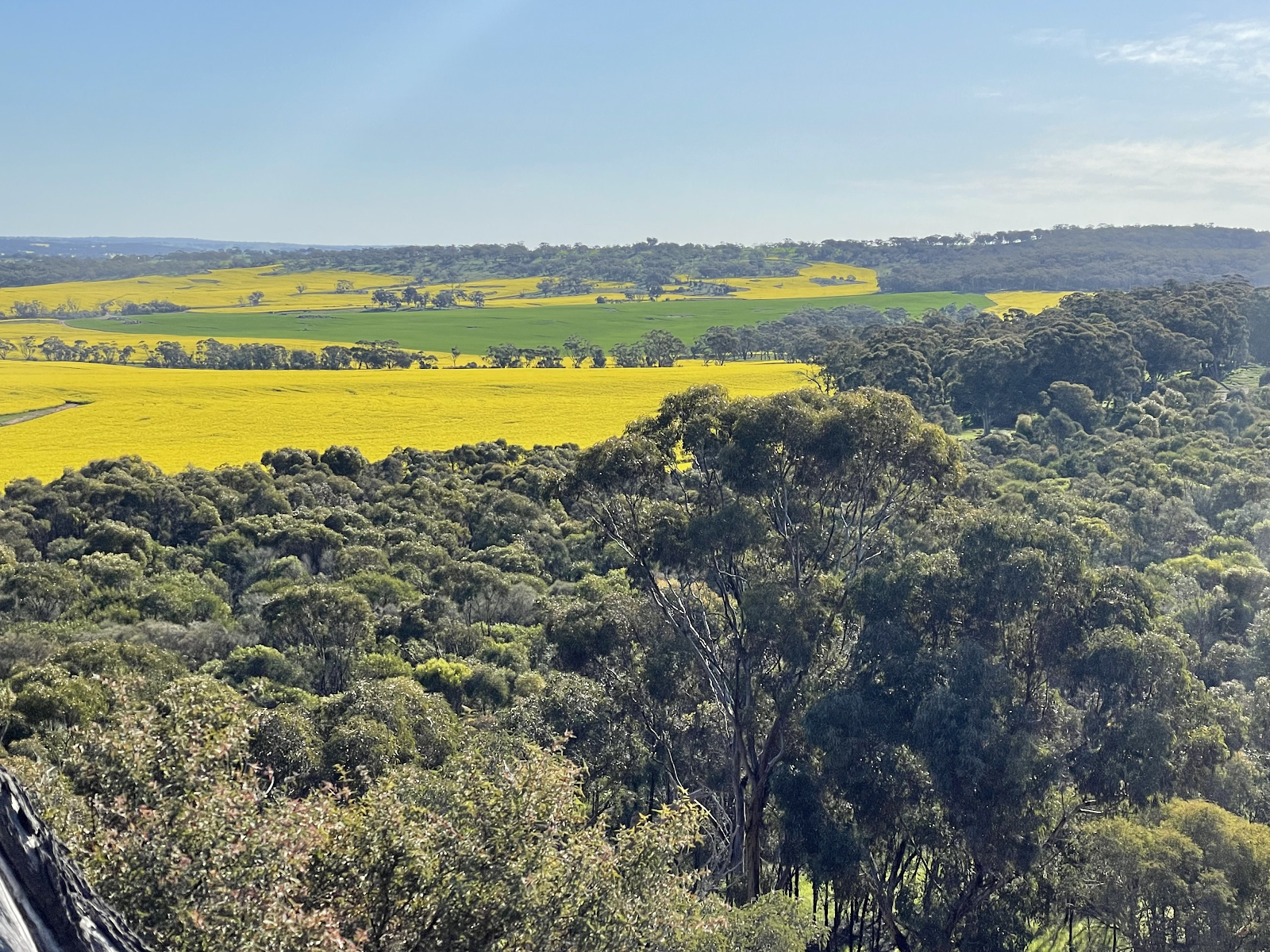 Aerial farm view